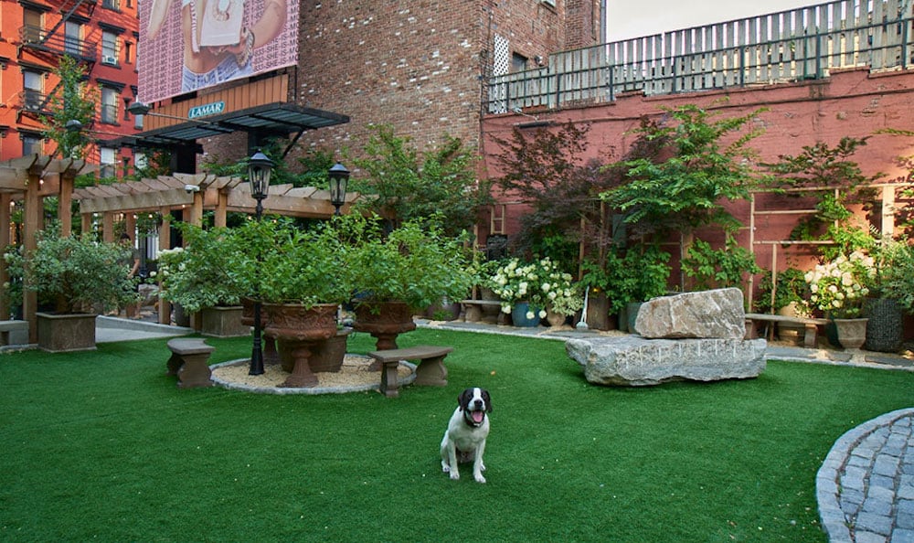 The dog park at the SoHo Grand Hotel.