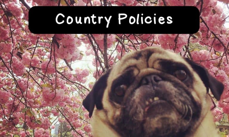Country Policies