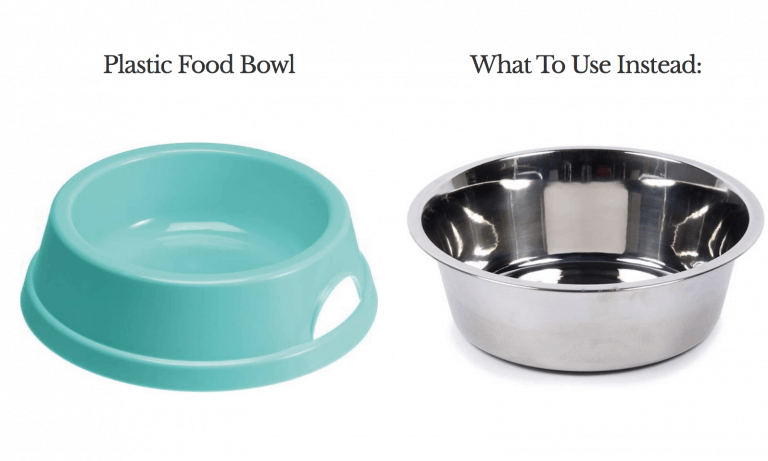 5 Dog Products You Should Replace