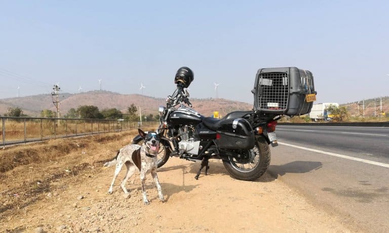 This Guy Traveled India on His Bike with His Dog