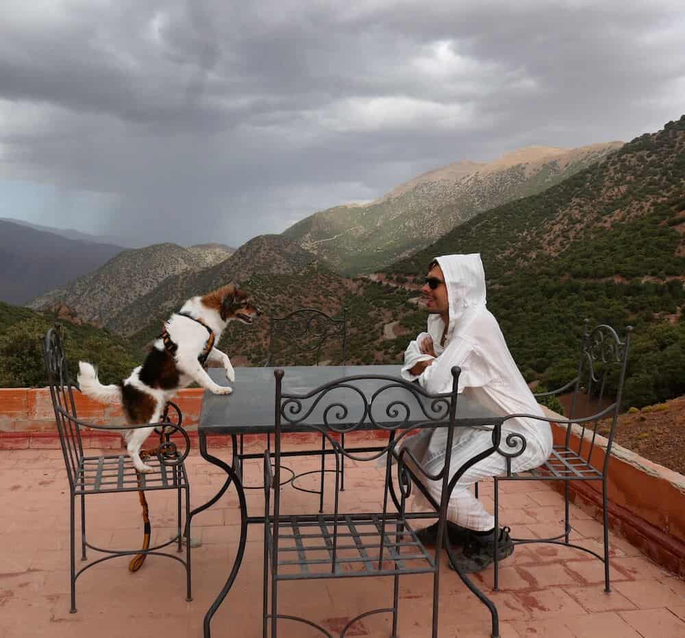 A dog and his owner sit at a table with a view of the Atlas Mountains behind them.