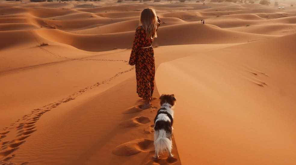 A dog and his owner walk in the Sahara desert in Morocco.