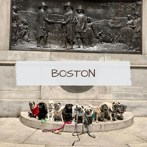 Dog-Friendly Boston