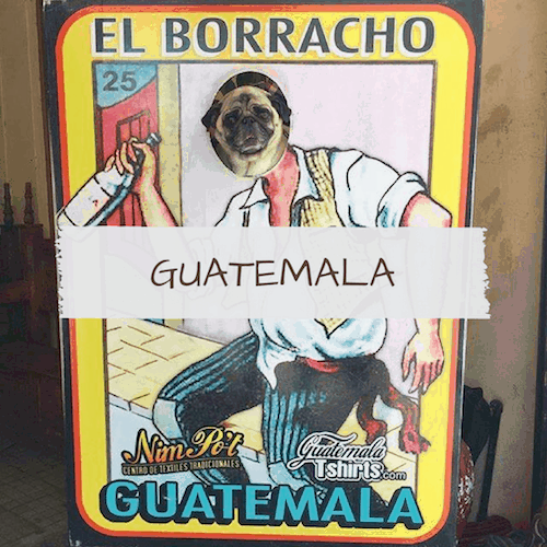 Dog-friendly Guatemala