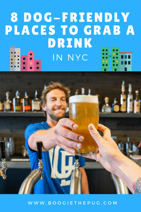 Just because your dog can’t drink, doesn’t mean he won’t enjoy a trip to the local watering hole. Here are 8 dog-friendly places to grab a drink in NYC.