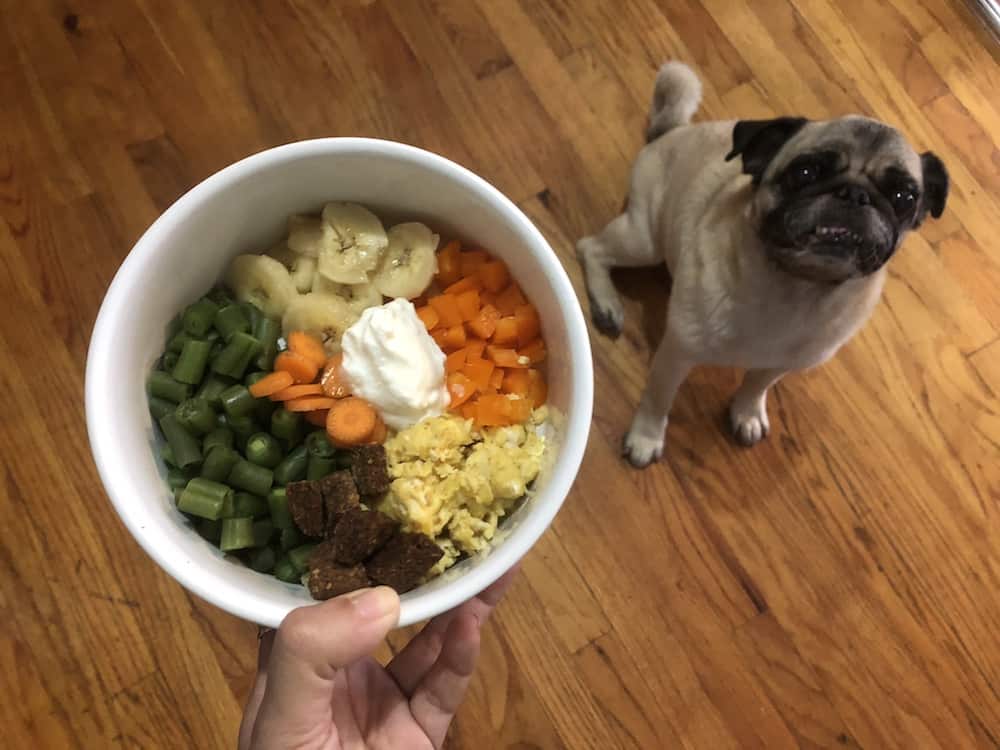 Pug shop diet plan