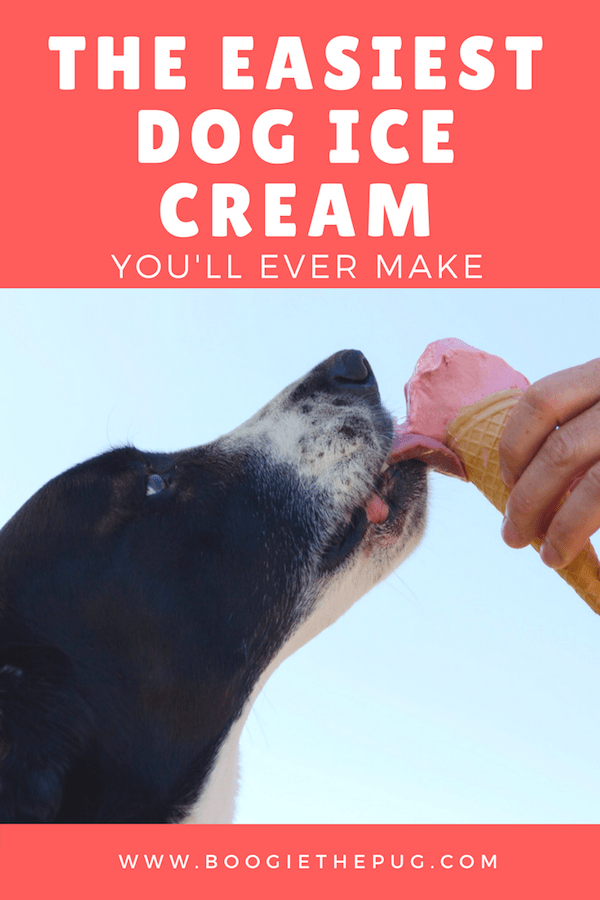 The is the best dog ice cream recipe you’ll find on the web. It’s easy, tasty, and human friendly! Make it for both you and your pup to enjoy.