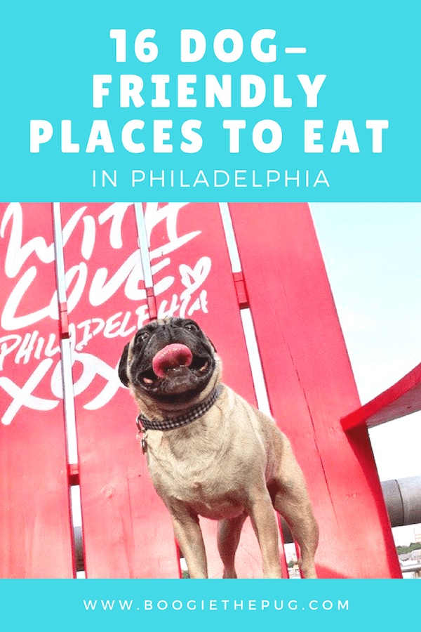 Whether you’re just visiting Philly or a local, it’s great to grab a bite to eat with your pup. Here are 16 dog-friendly places to eat in Philadelphia.