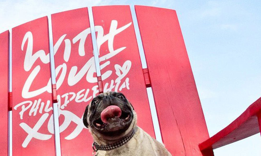 11 Dog-Friendly Places to Eat in Philadelphia