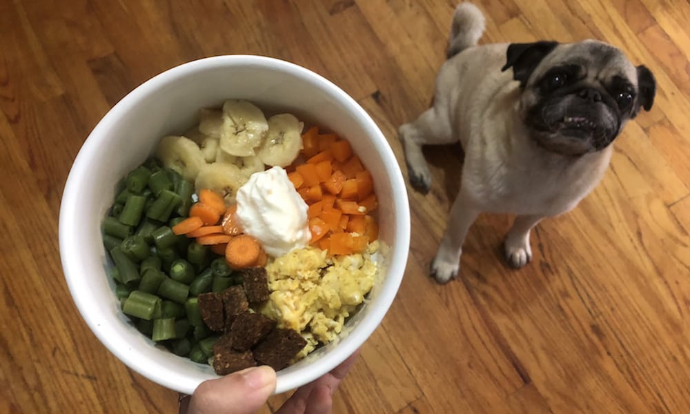 Homemade Dog Food: What Boogie Ate
