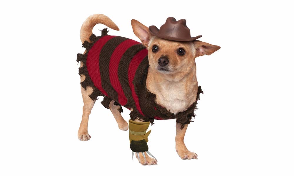 20 Great Halloween Costumes For Your Dog
