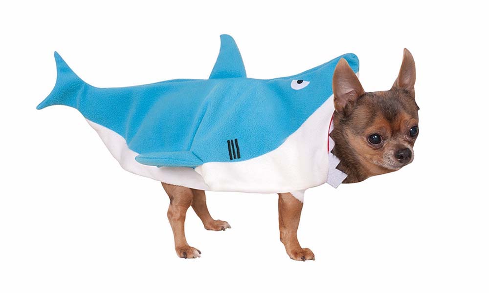 21 Great Halloween Costumes For Your Dog