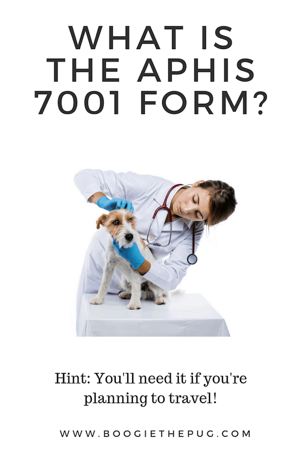 What is the APHIS 7001 form?