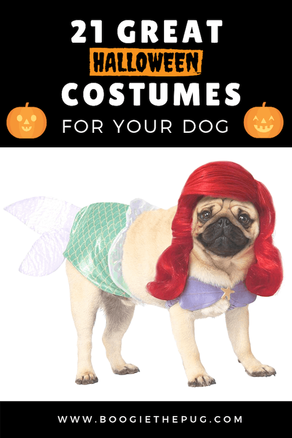 21 Great Halloween Costumes For Your Dog