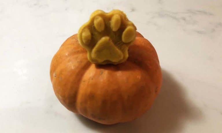 Super Simple Pumpkin Spice Dog Treats
