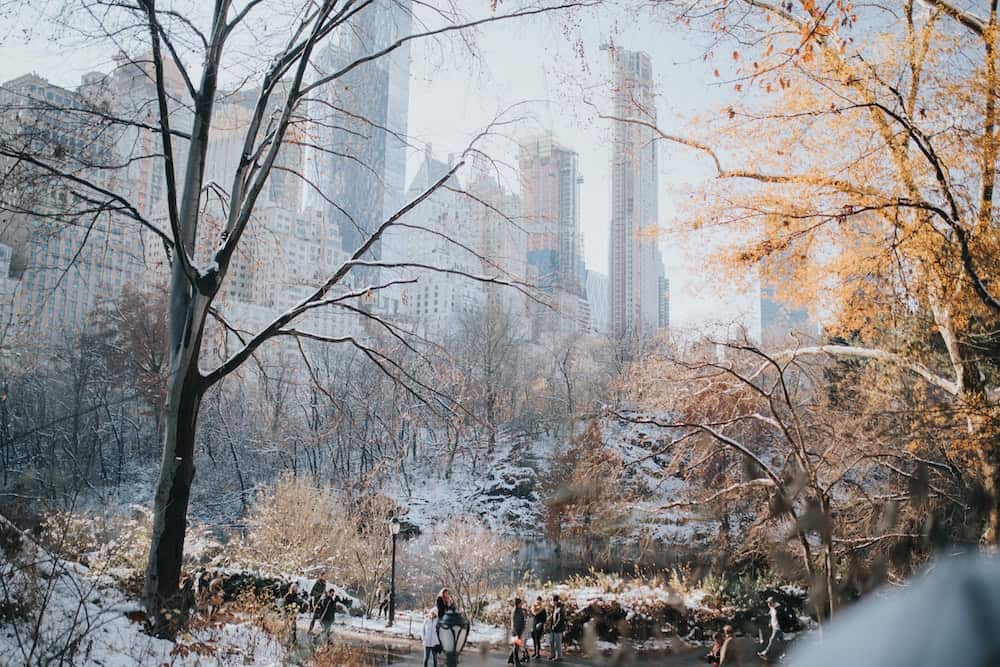 Winter in Central Park.