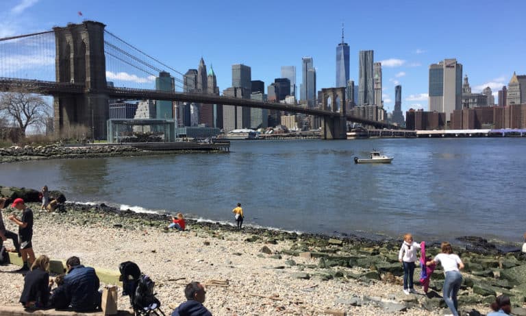 10 Dog-Friendly Things to See and Do in DUMBO, Brooklyn