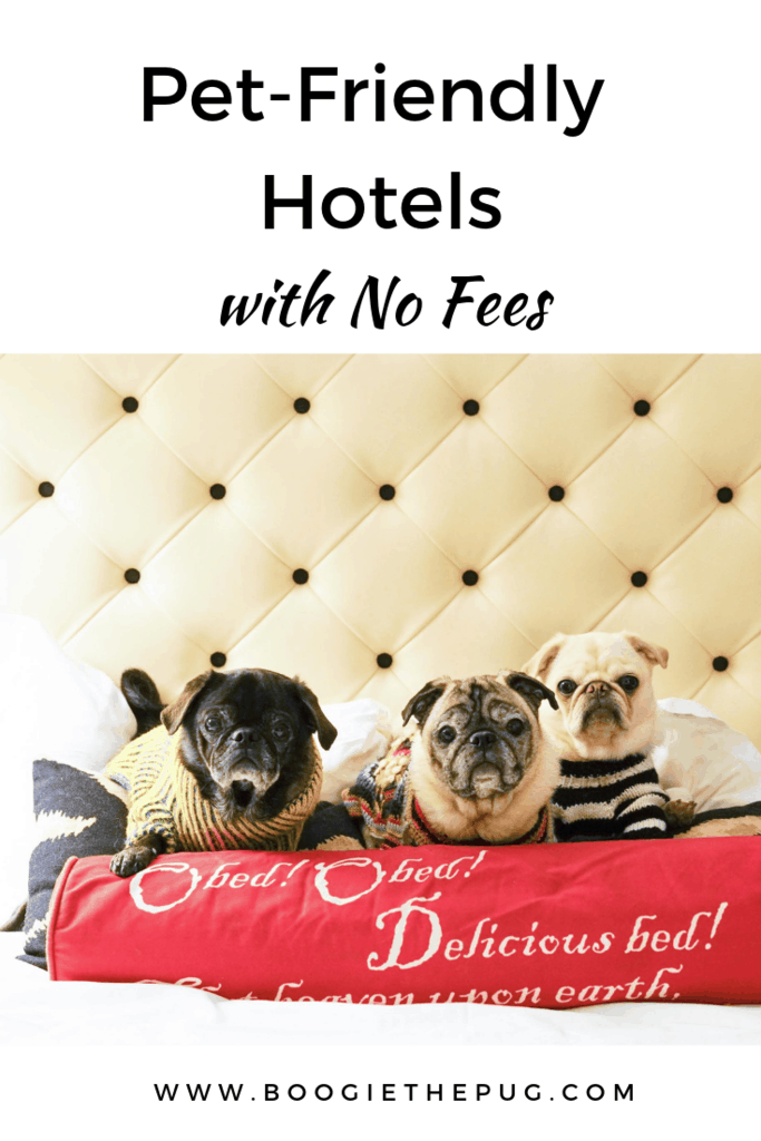 Check out these hotel chains that welcome your furry friends without any extra costs - that's right, no extra fees, no deposits, and no one time payments.