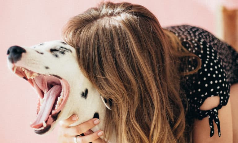 Creative Dog Moms To Follow On Instagram