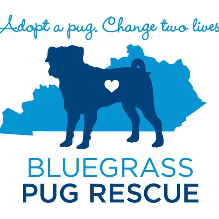 Bluegrass Pug Rescue