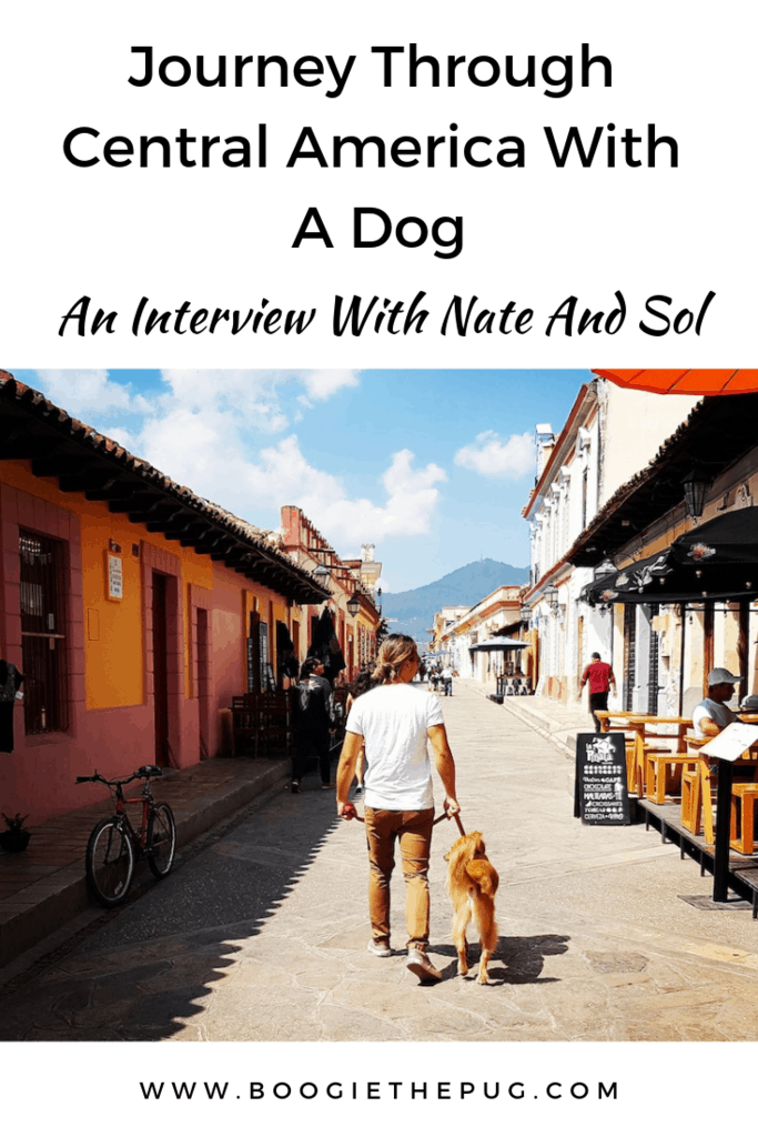 Nate and his Mexican dog Sol traveled over 11,500km, and passed through over 20 cities, visiting deserts, beaches, jungles and mountains.