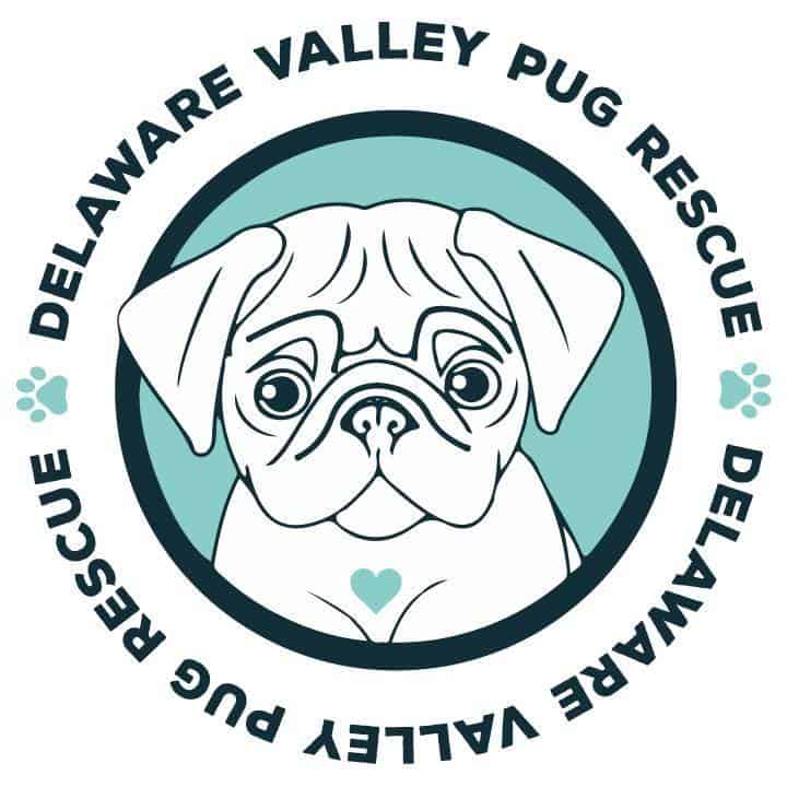 Delaware Valley Pug Rescue