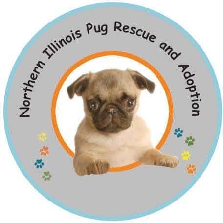 Northern Illinois Pug Rescue