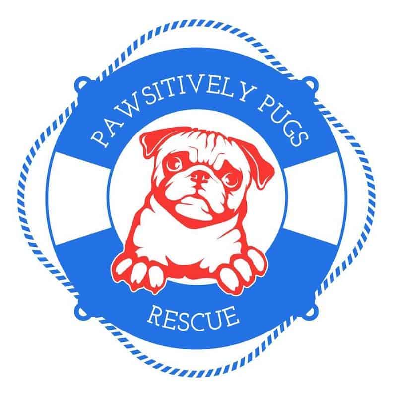 Pawsitively Pugs Rescue (North Carolina Pug Rescue)