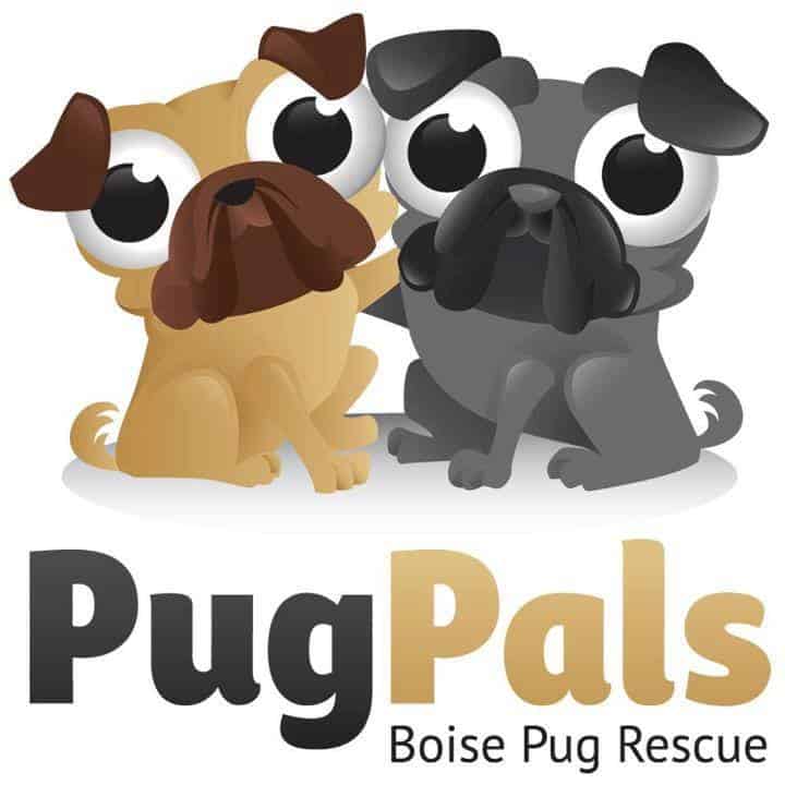 Pug Pals (Greater Boise Pug Rescue and Placement) 