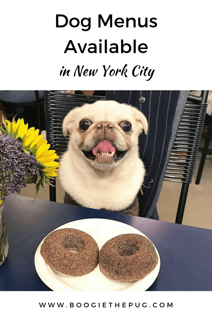 Going out for a bite to eat can now include dinner and dessert for your pup. The following restaurants and cafes in New York City offer dog menus.