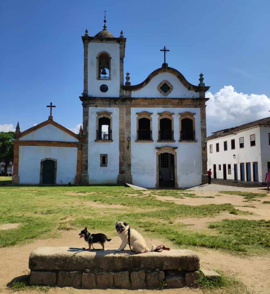 Dogs in Paraty