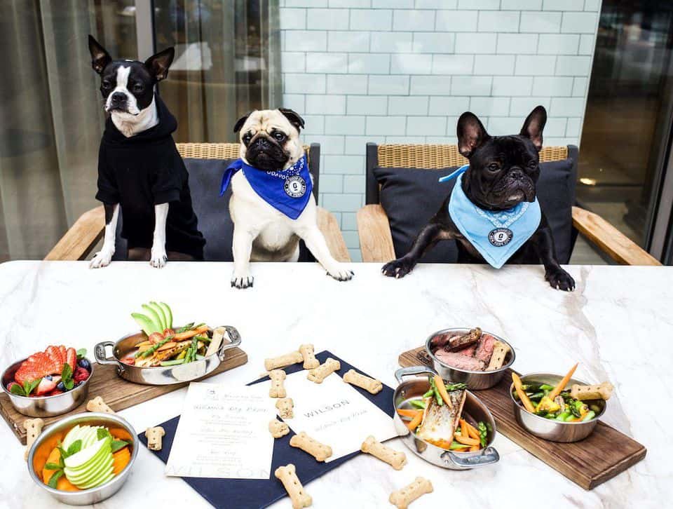 Going out for a bite to eat can now include dinner and dessert for your pup. The following restaurants and cafes in New York City offer dog menus.