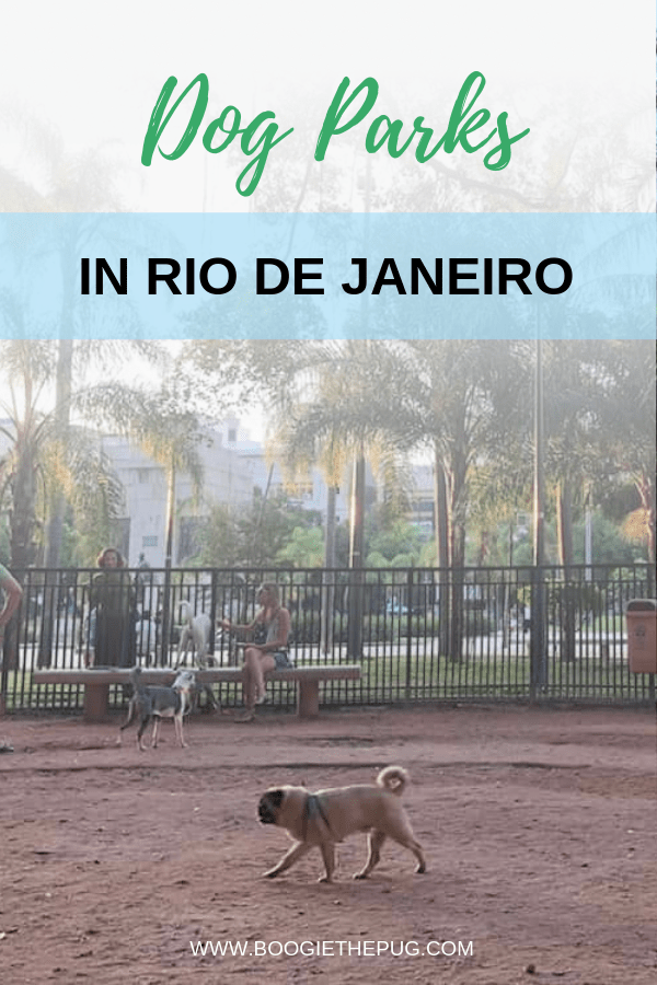 Dog parks are great places to socialize and make new dog friends. Here is a complete list of dog parks in Rio de Janeiro, both official and unofficial. 
