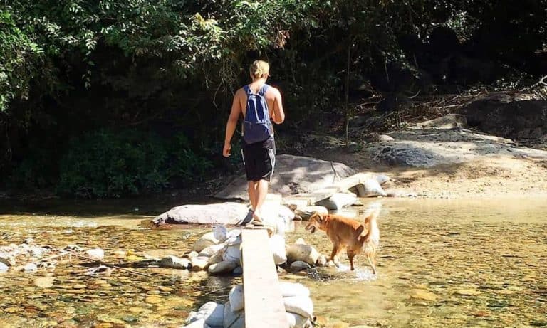 Journey Through Central America With A Dog: An Interview With Nate And Sol