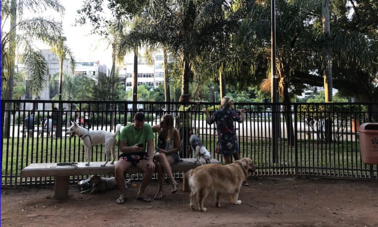 A Complete List Of Dog Parks In Rio de Janeiro