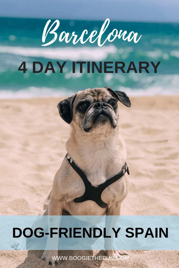 This four day Barcelona itinerary is dog-friendly! Here's how to spend four fun filled days exploring Barcelona with your furry pal. 