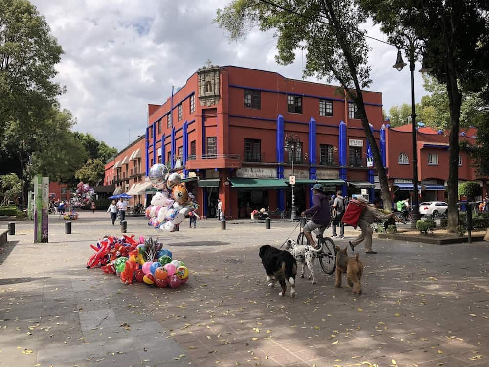 Mexico City is the most dog-friendly city we've visited so far. Here are photos of dogs in Mexico City who are out and about. Enjoy!