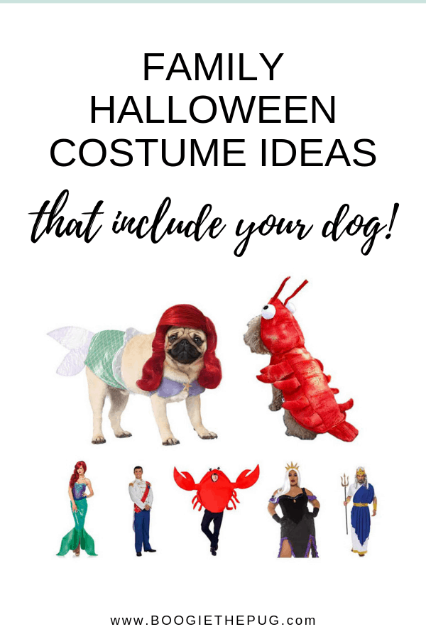 We've rounded up the best family costume ideas, and all of them include the furriest member of the pack - your dog! Check out these group Halloween costumes.