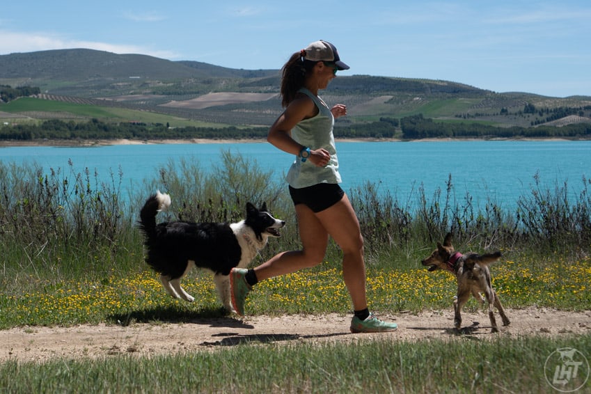American couple Jen Sotolongo and Dave Hoch, known as Long Haul Trekkers, share how they travel with two large dogs and stay active on the road. 