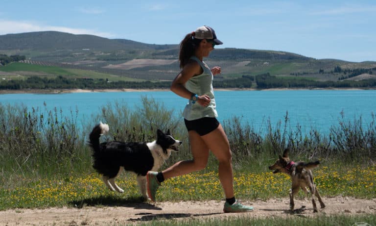 Active Dogs On The Road: An Interview With Long Haul Trekkers