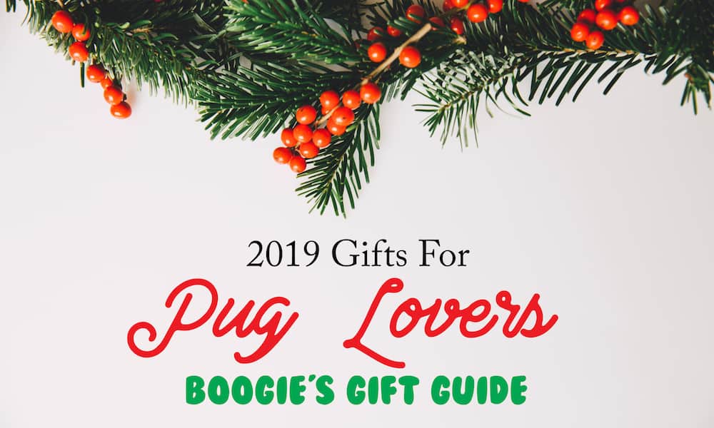 Get the pug obsessed people in your life the perfect pug stuff this holiday season. These are the best gifts for pug lovers.
