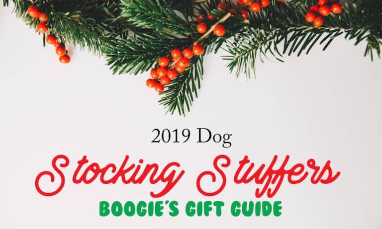 The Best Stocking Stuffers for Dogs 2019