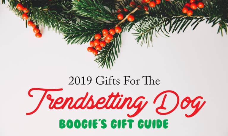 Gifts for the Trendsetting Dog 2019