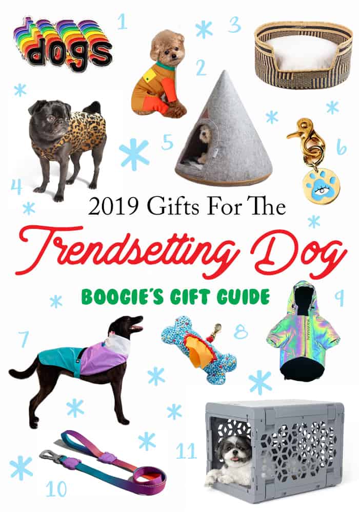 If your pup is too cool for school, you'll need to impress them this holiday. Here are the best gifts for trendsetting dogs! 