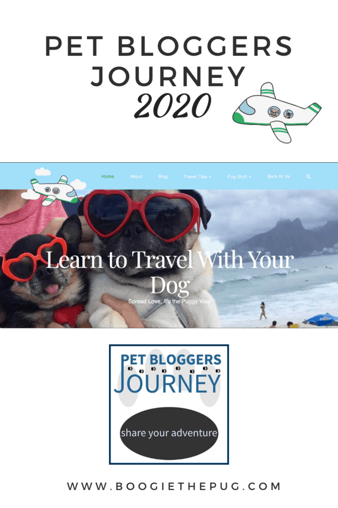 It's time to reflect on the last year and plan for the upcoming one. Here's my entry in the 2020 Pet Blogger Journey. 