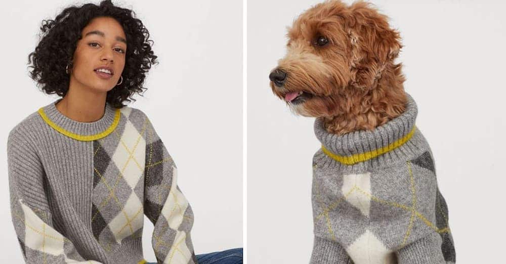 Matching pet and hot sale owner sweaters