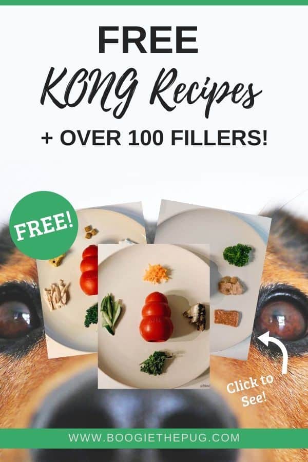 13 Kong Filler Recipes - Stuff Your Kong for Puppies & Adult Dogs