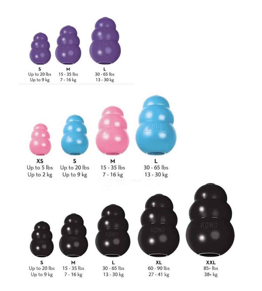 KONG size guide.