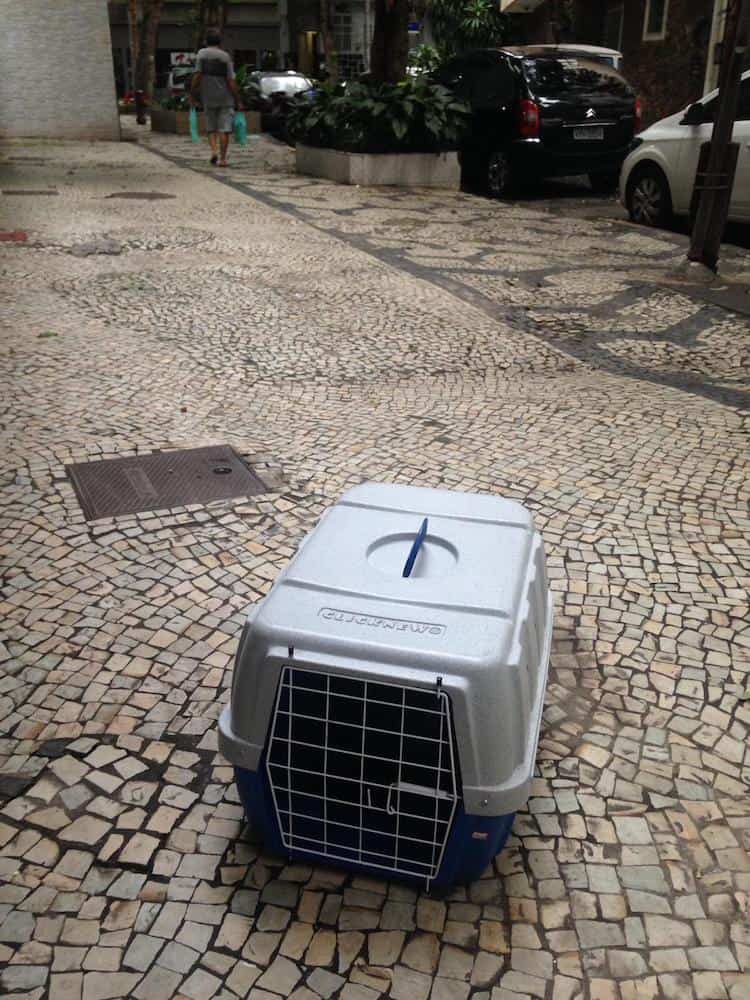 A kennel on the streets of Rio.