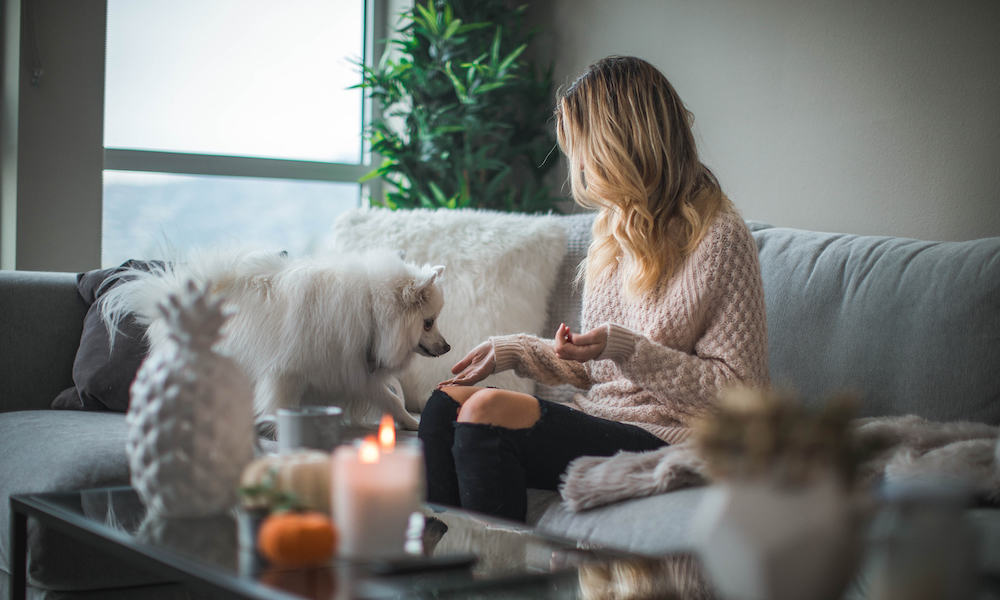 Staying indoors with your dog isn't so bad. Check out this list of activities to keep you busy while social distancing. 